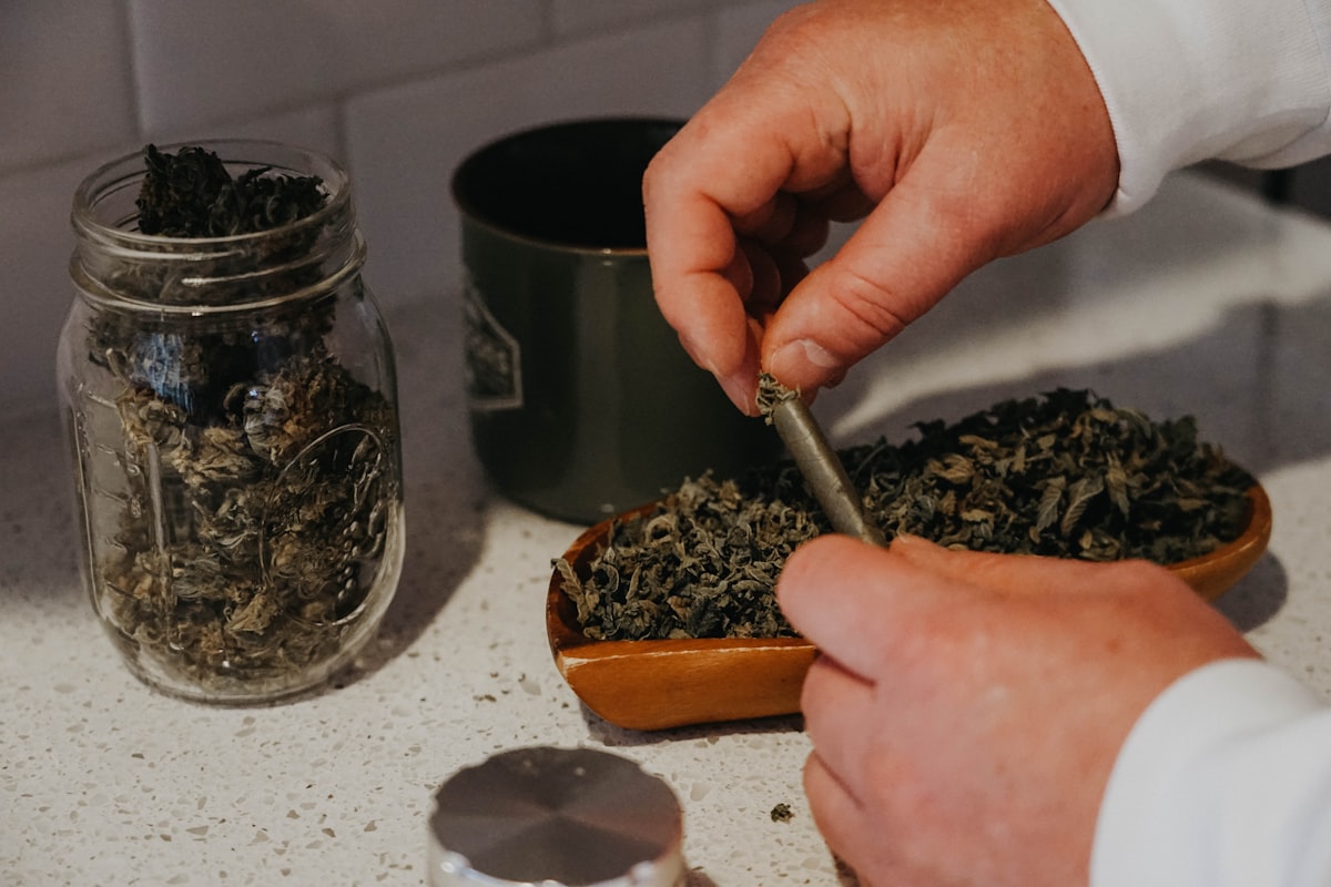 Sprouted seeds and grains